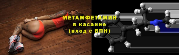 прущие грибы Краснотурьинск