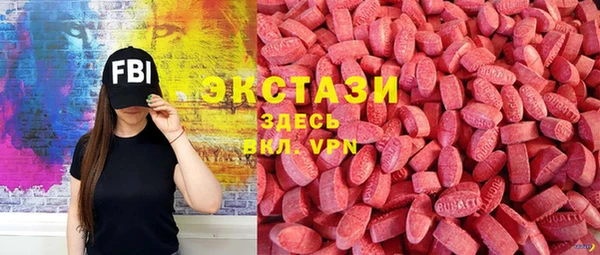 твердый Краснослободск