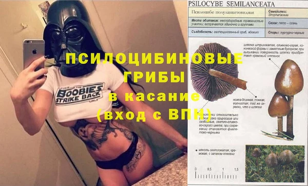 твердый Краснослободск