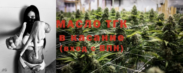 твердый Краснослободск