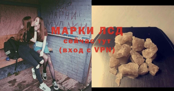 твердый Краснослободск