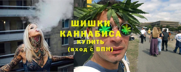 прущие грибы Краснотурьинск