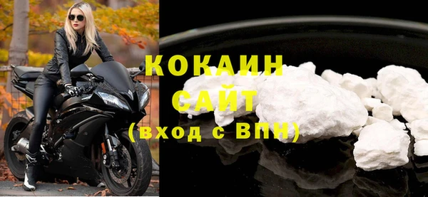 прущие грибы Краснотурьинск