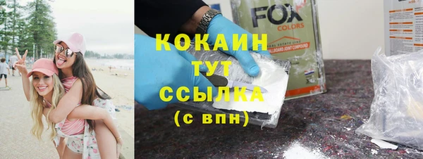 прущие грибы Краснотурьинск