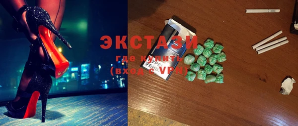 твердый Краснослободск