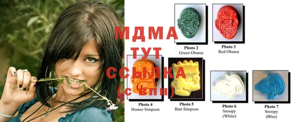 прущие грибы Краснотурьинск