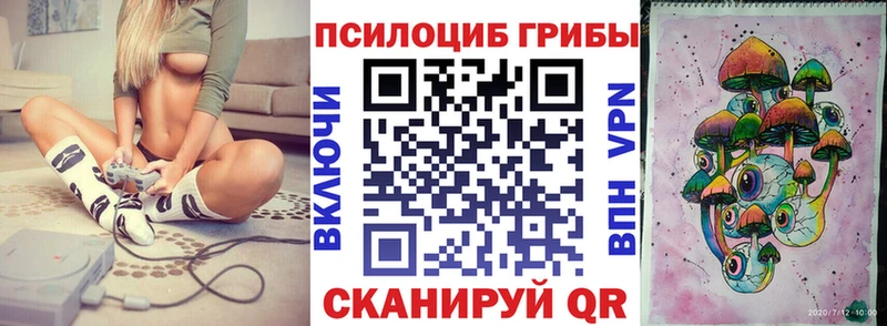 Галлюциногенные грибы Psilocybine cubensis  Томари 